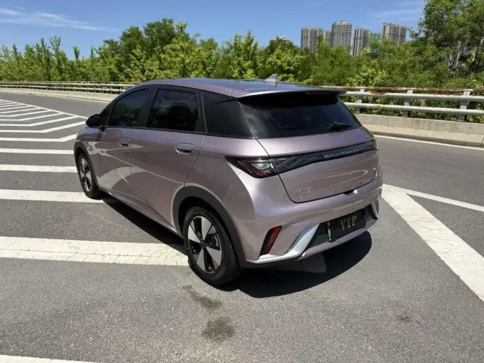 BYD Dolphin 2023 Model Free Edition – фото 5