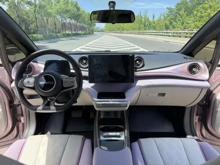 BYD Dolphin 2023 Model Free Edition – фото 8