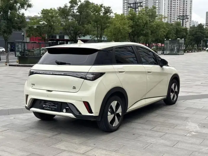 BYD Dolphin 2023 Model Fashion Edition – фото 5