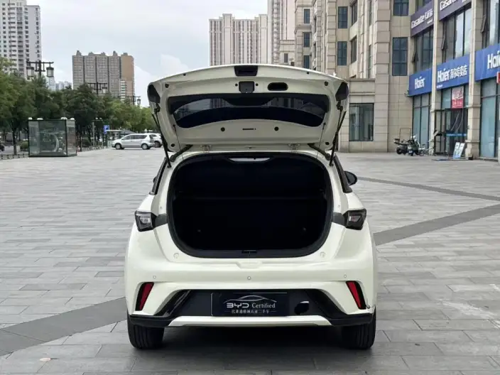 BYD Dolphin 2023 Model Fashion Edition – фото 10
