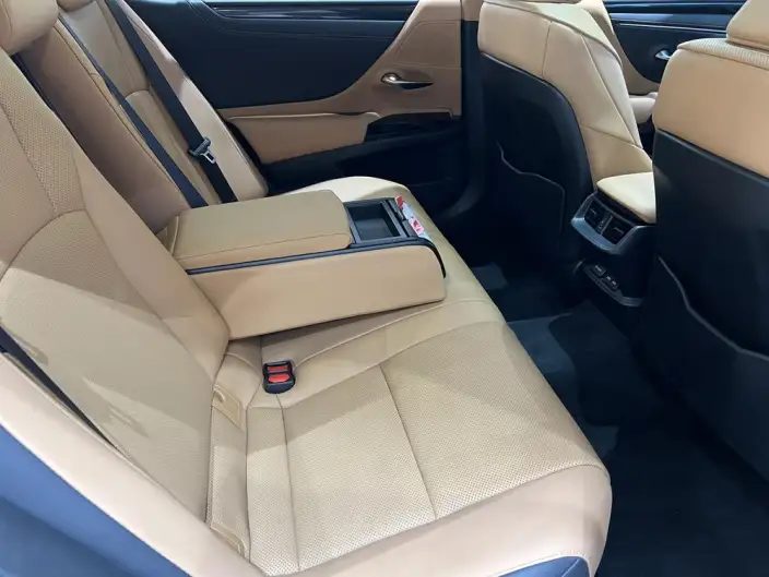 Lexus ES 2022 Model 300h Premium – фото 13