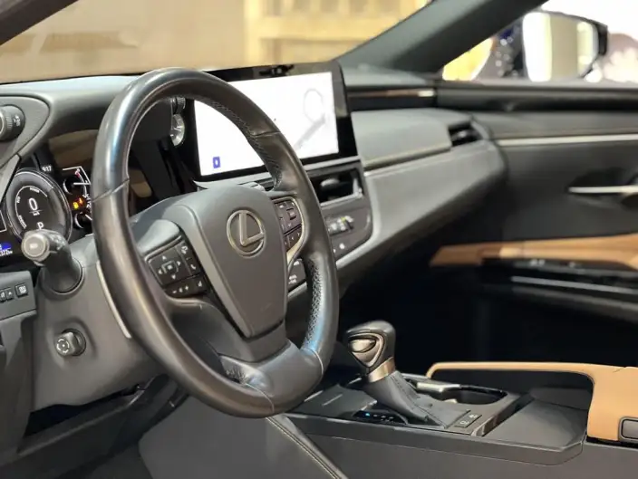 Lexus ES 2022 Model 300h Premium – фото 18