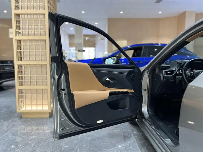Lexus ES 2022 Model 300h Premium – фото 23