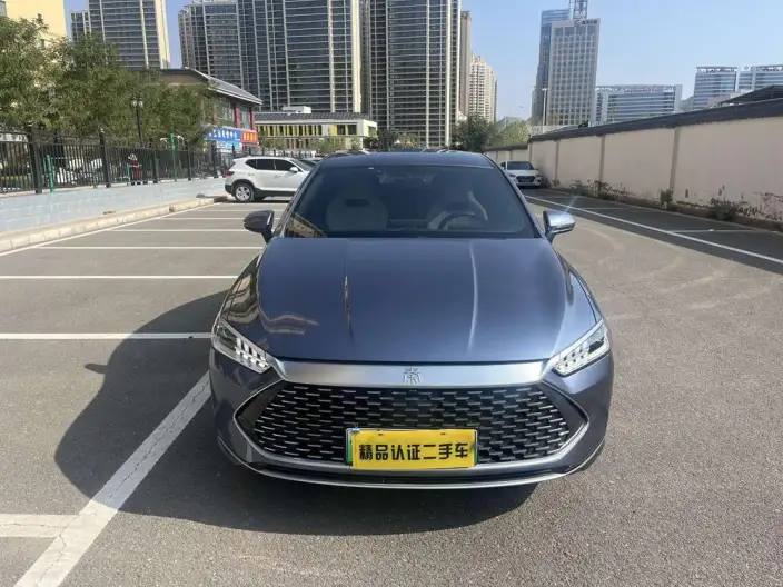 BYD Qin PLUS DM 2024 Model Honor Edition DM-i 55KM Leading Model – фото 2
