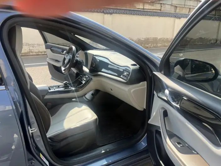 BYD Qin PLUS DM 2024 Model Honor Edition DM-i 55KM Leading Model – фото 16