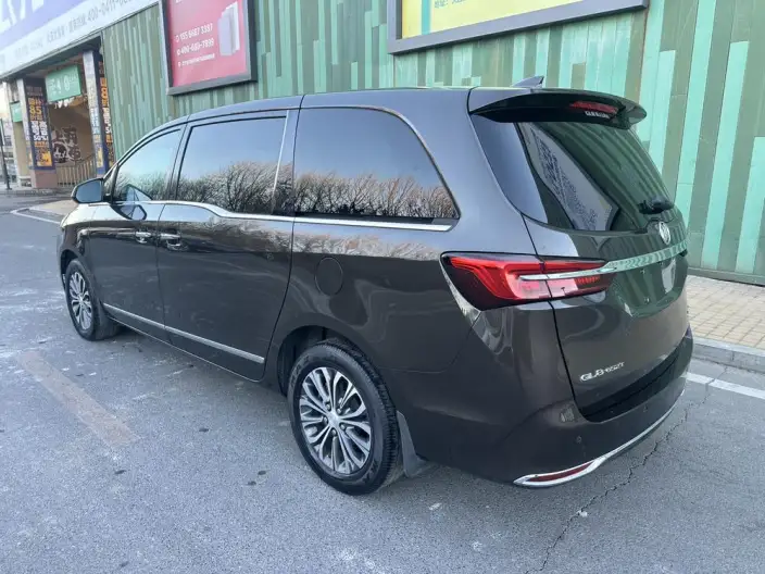 Buick GL8 2021 Model Business class 652T Comfort Model – фото 4