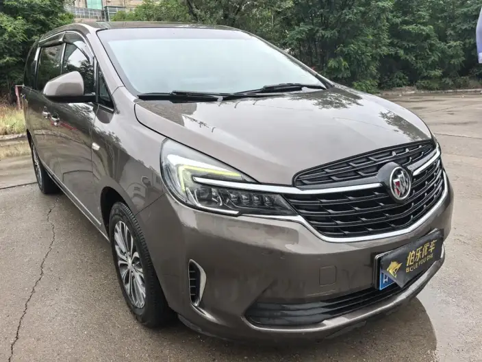 Buick GL8 2021 Model Facelift Business class 652T Luxury Model – фото 3