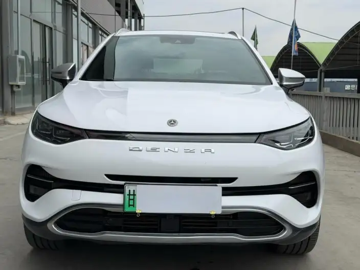 Denza X PHEV 2020 Model 2.0T Ultimate Edition – фото 2