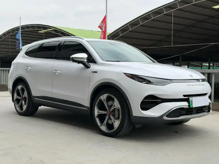 Denza X PHEV 2020 Model 2.0T Ultimate Edition – фото 3
