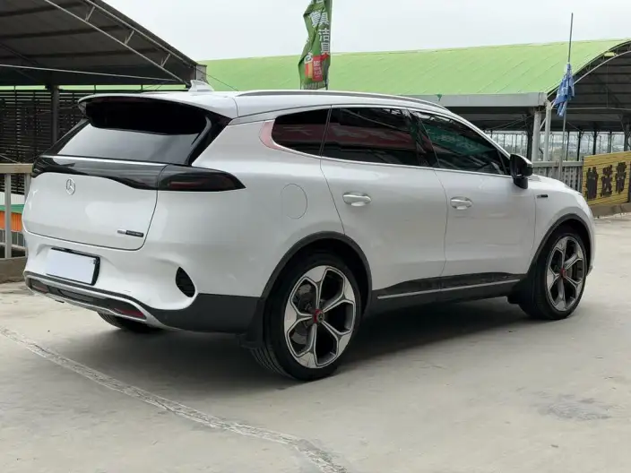Denza X PHEV 2020 Model 2.0T Ultimate Edition – фото 6