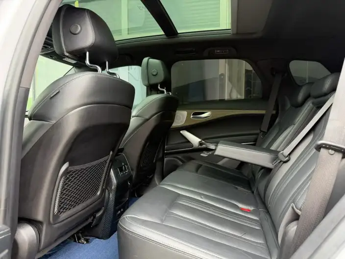 Denza X PHEV 2020 Model 2.0T Ultimate Edition – фото 9