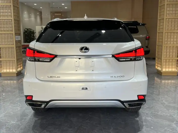 Lexus RX 2020 Model 300 2WD Elite Edition China V – фото 4