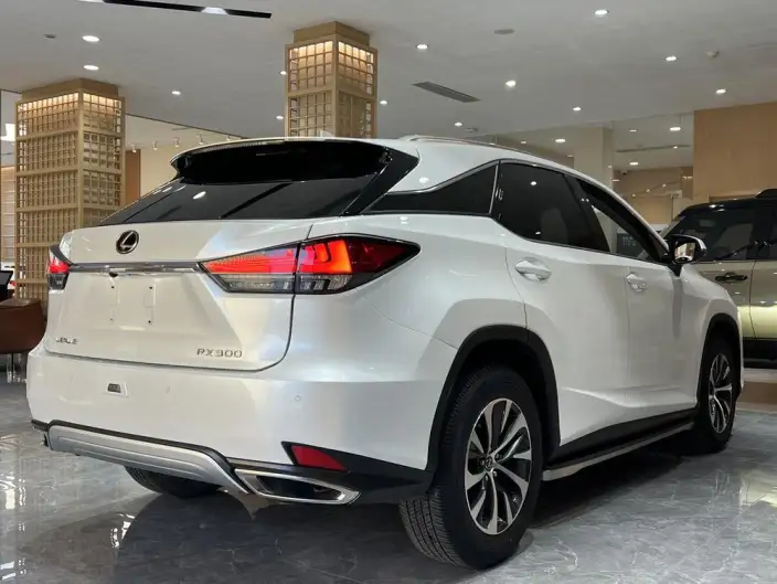 Lexus RX 2020 Model 300 2WD Elite Edition China V – фото 5