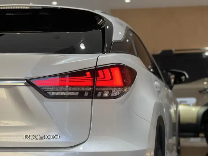 Lexus RX 2020 Model 300 2WD Elite Edition China V – фото 6