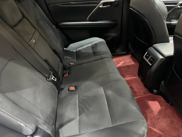 Lexus RX 2020 Model 300 2WD Elite Edition China V – фото 17