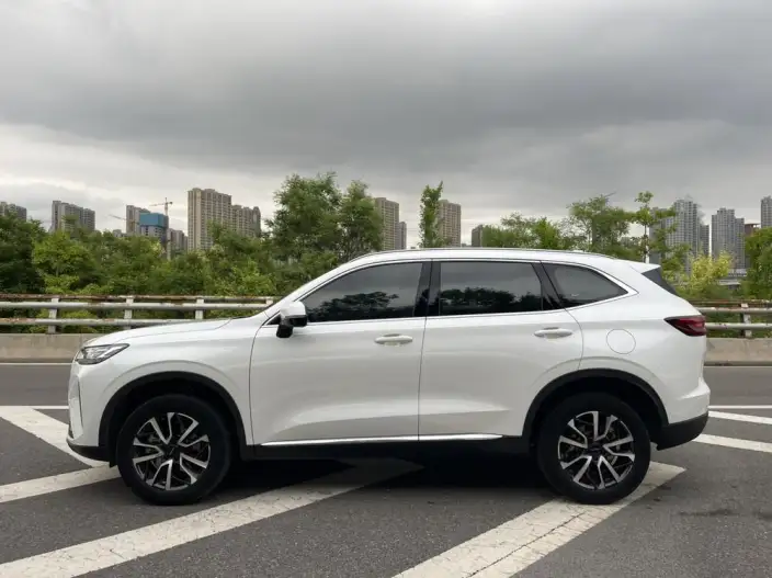 Haval H6 2021 Model Third generation 1.5GDIT Automatic Pro Edition – фото 4