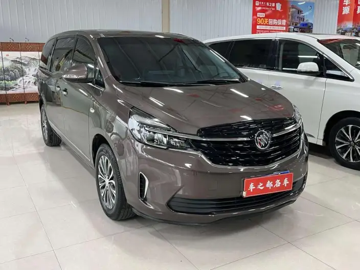 Buick GL8 2021 Model Business class 652T Luxury Model – фото 3