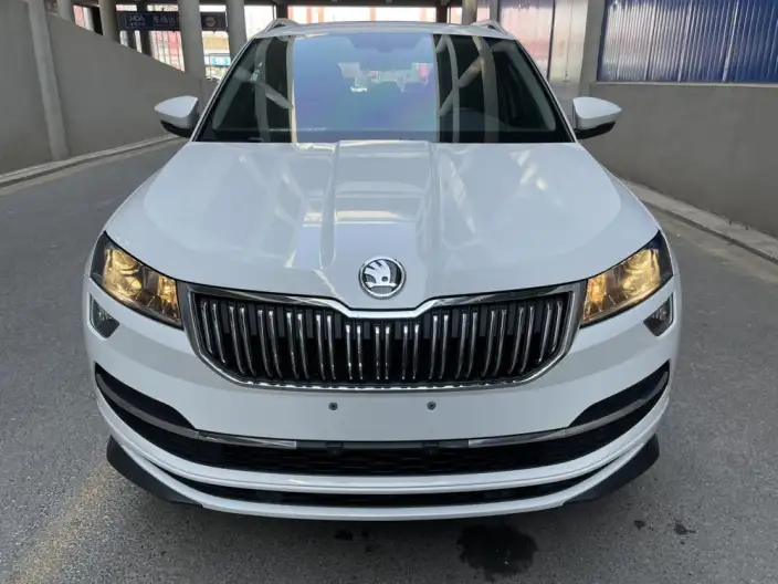 Karoq 2023 Model TSI280 Exclusive Edition – фото 2