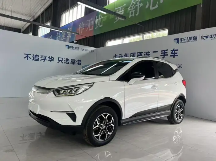 Yuan Pro 2021 Model 401KM Luxury Model – фото 1