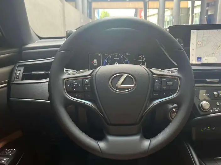 Lexus ES 2024 Model 200 Premium – фото 11