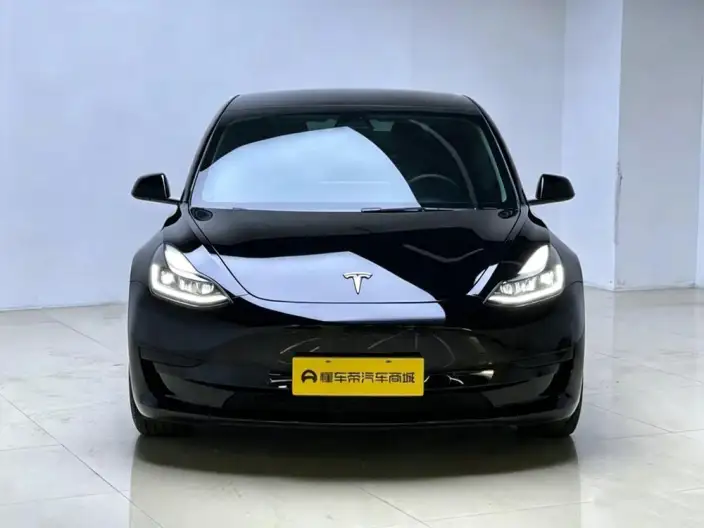 Model 3 2021 Model Standard Battery Life Rear Drive L Class Edition – фото 2