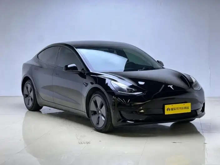Model 3 2021 Model Standard Battery Life Rear Drive L Class Edition – фото 3