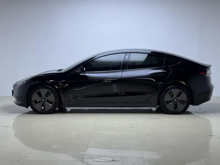 Model 3 2021 Model Standard Battery Life Rear Drive L Class Edition – фото 4