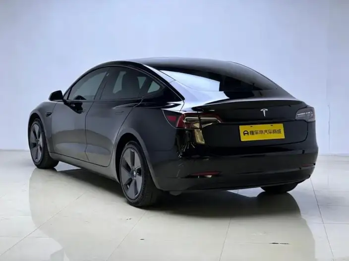 Model 3 2021 Model Standard Battery Life Rear Drive L Class Edition – фото 5