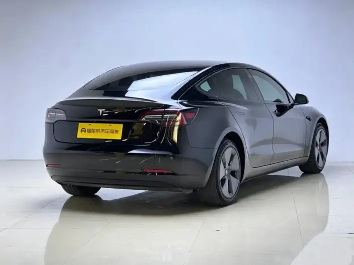 Model 3 2021 Model Standard Battery Life Rear Drive L Class Edition – фото 7