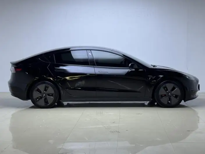 Model 3 2021 Model Standard Battery Life Rear Drive L Class Edition – фото 8