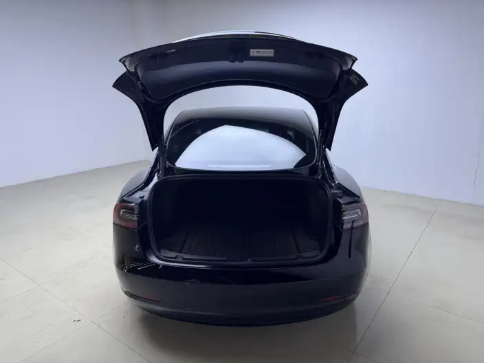Model 3 2021 Model Standard Battery Life Rear Drive L Class Edition – фото 20