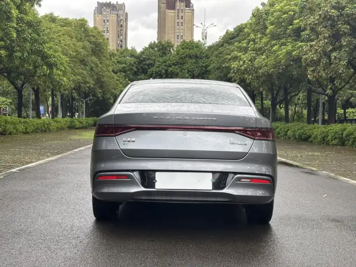 Qin Plus EV 2021 Model 400KM Luxury Model – фото 5