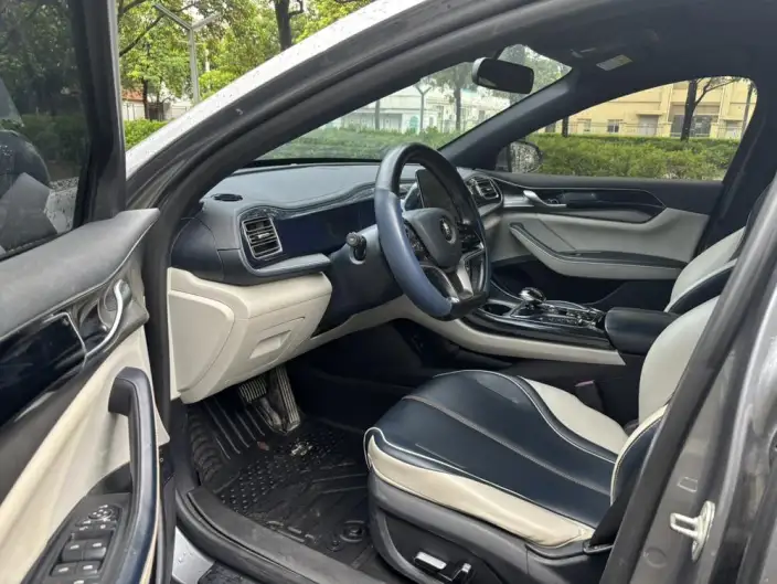Qin Plus EV 2021 Model 400KM Luxury Model – фото 10