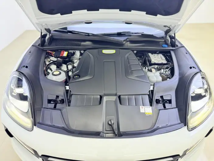 Cayenne E-Hybrid 2021 Model Cayenne E-Hybrid 2.0T – фото 10