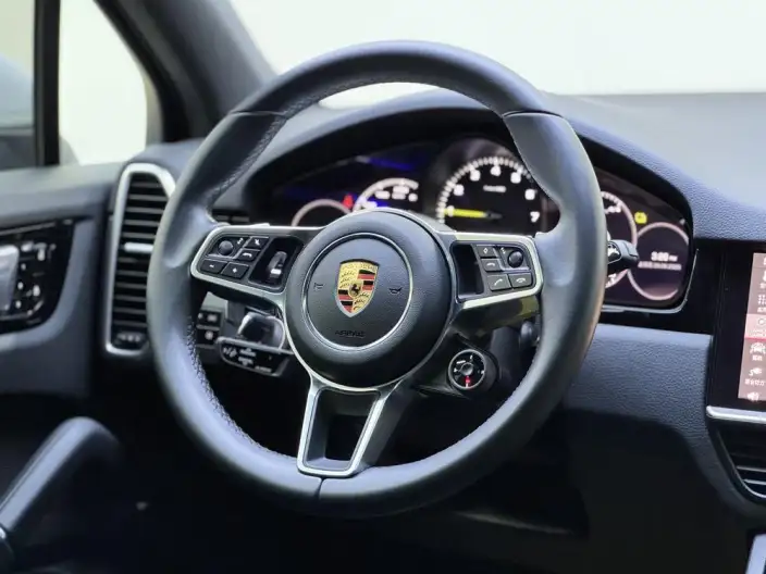 Cayenne E-Hybrid 2021 Model Cayenne E-Hybrid 2.0T – фото 16