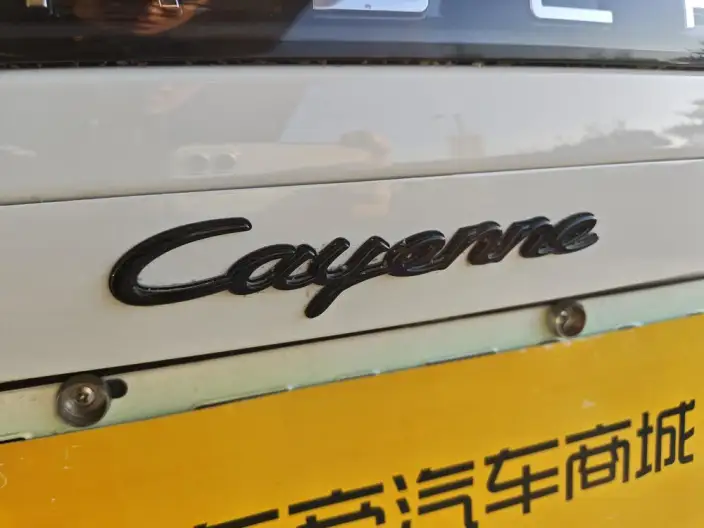 Cayenne E-Hybrid 2021 Model Cayenne E-Hybrid 2.0T – фото 22