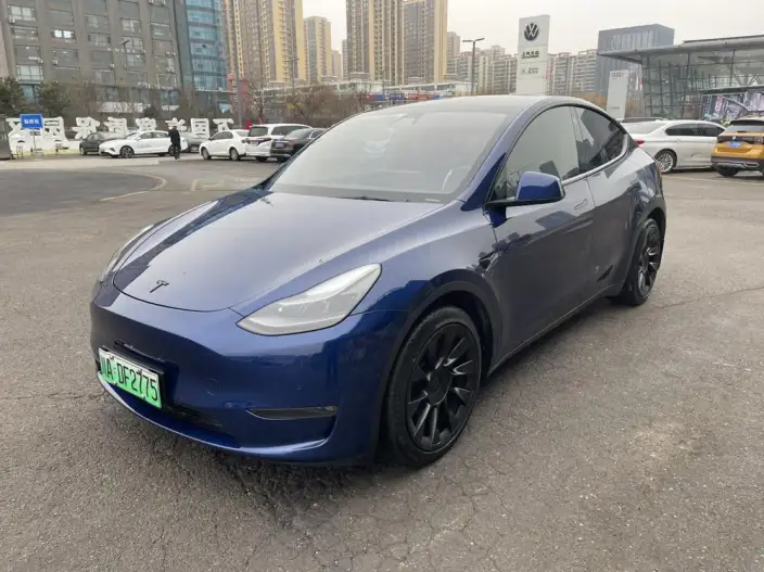 Model Y 2021 Model Long Battery Life Pro All-wheel drive version – фото 1