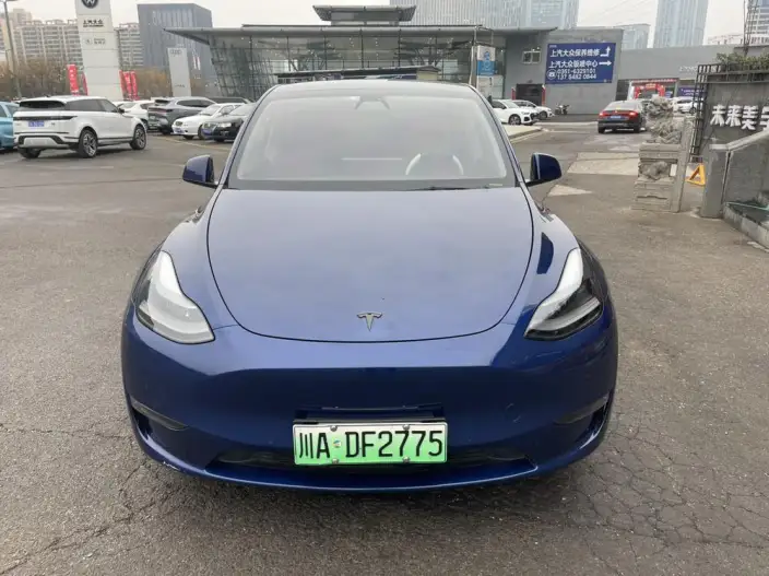 Model Y 2021 Model Long Battery Life Pro All-wheel drive version – фото 2