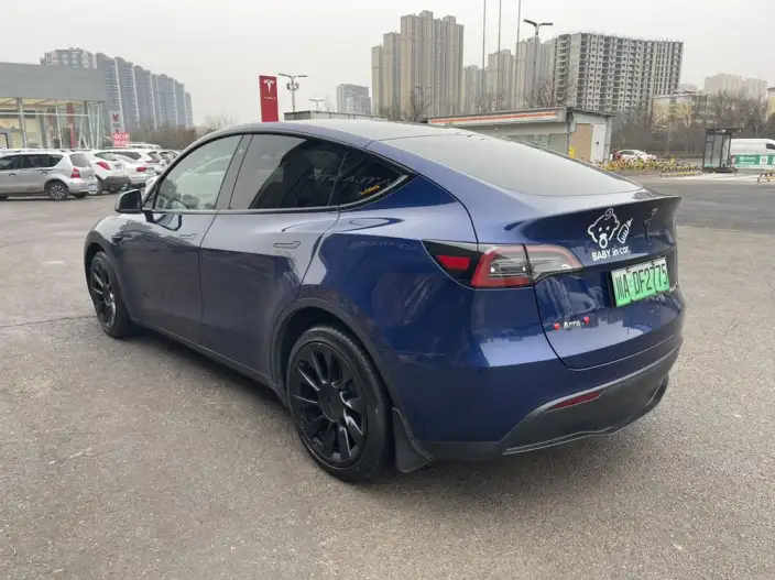 Model Y 2021 Model Long Battery Life Pro All-wheel drive version – фото 4