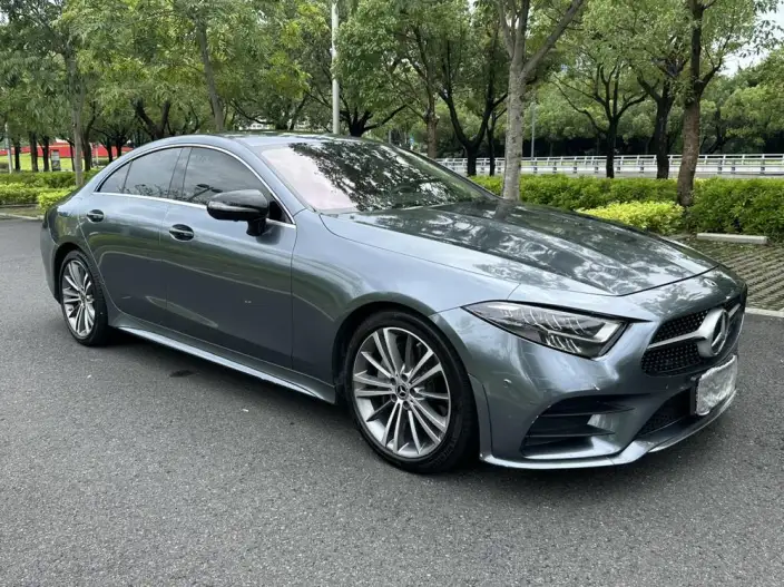 Mercedes-Benz CLS 2021 Model CLS 300 Dynamic Model – фото 3