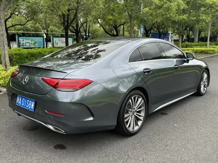 Mercedes-Benz CLS 2021 Model CLS 300 Dynamic Model – фото 6