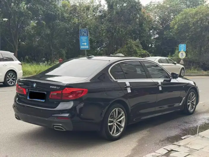 BMW 5 Series 2020 Model 525Li M Sports Set – фото 5