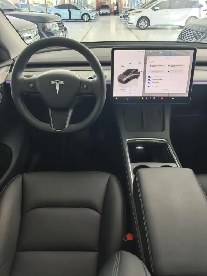 Model Y 2024 Model Long Battery Life Pro All-wheel drive version – фото 8
