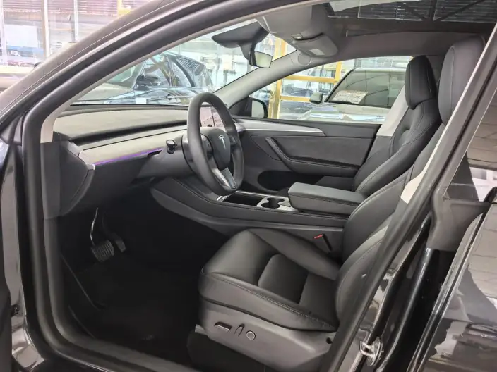 Model Y 2024 Model Long Battery Life Pro All-wheel drive version – фото 12