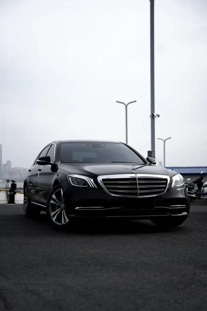 Mercedes-Benz S-Class 2020 Model S 350 L Exclusive Model Collector Edition – фото 10