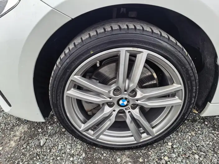 BMW 1 Series 2020 Model 125i Leading Model M Sports Set – фото 10