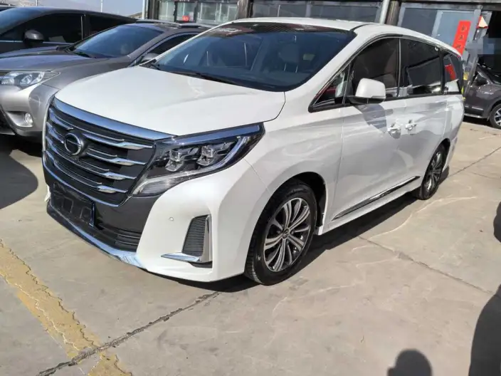 GAC Trumpchi M8 2020 Model Pilot Model 390T Premium Edition – фото 1