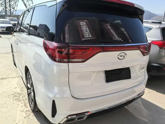 GAC Trumpchi M8 2020 Model Pilot Model 390T Premium Edition – фото 3