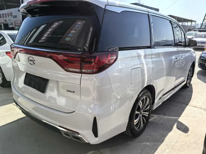 GAC Trumpchi M8 2020 Model Pilot Model 390T Premium Edition – фото 5