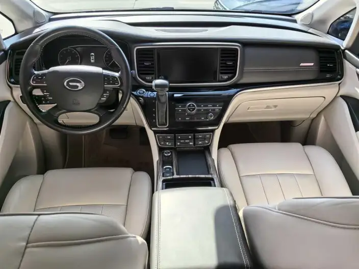 GAC Trumpchi M8 2020 Model Pilot Model 390T Premium Edition – фото 8